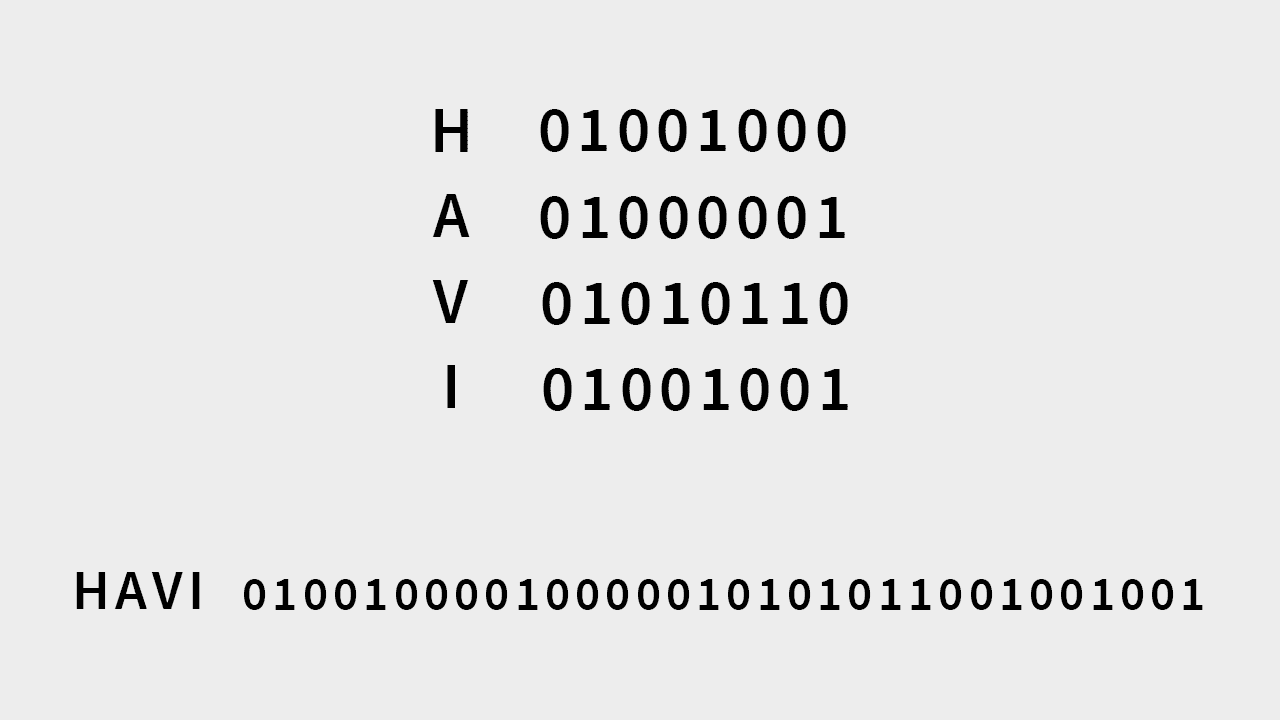 Havi Binary code