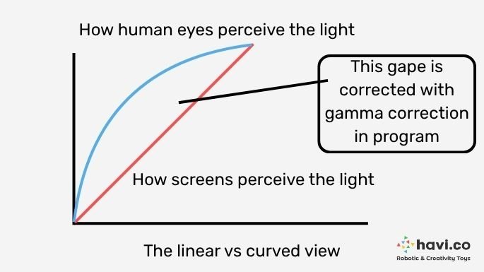 gamma correction graph havi.co